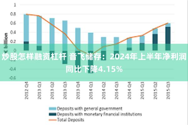 炒股怎样融资杠杆 音飞储存：2024年上半年净利润同比下降4.15%