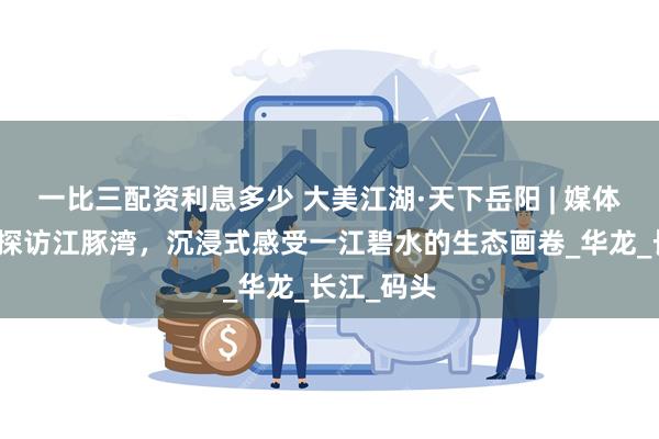 一比三配资利息多少 大美江湖·天下岳阳 | 媒体总编辑们探访江豚湾，沉浸式感受一江碧水的生态画卷_华龙_长江_码头