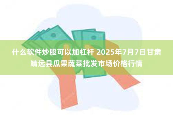 什么软件炒股可以加杠杆 2025年7月7日甘肃靖远县瓜果蔬菜批发市场价格行情
