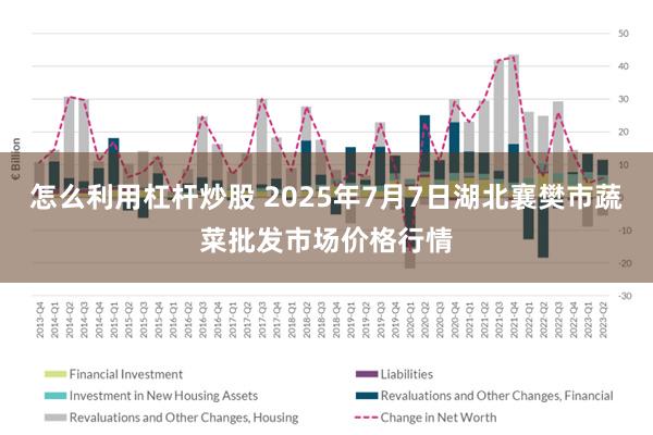 怎么利用杠杆炒股 2025年7月7日湖北襄樊市蔬菜批发市场价格行情