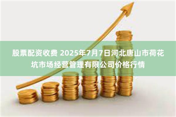 股票配资收费 2025年7月7日河北唐山市荷花坑市场经营管理有限公司价格行情