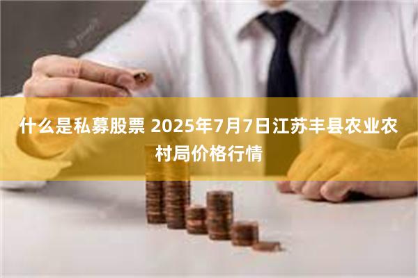 什么是私募股票 2025年7月7日江苏丰县农业农村局价格行情