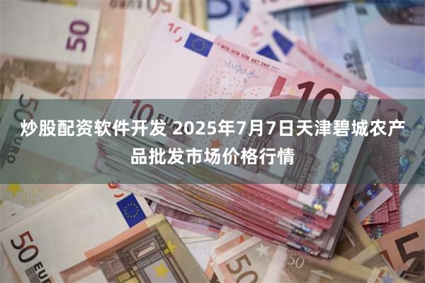 炒股配资软件开发 2025年7月7日天津碧城农产品批发市场价格行情