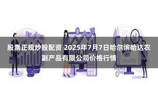 股票正规炒股配资 2025年7月7日哈尔滨哈达农副产品有限公司价格行情