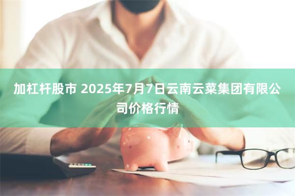 加杠杆股市 2025年7月7日云南云菜集团有限公司价格行情