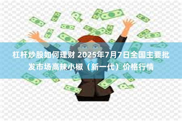 杠杆炒股如何理财 2025年7月7日全国主要批发市场高辣小椒（新一代）价格行情