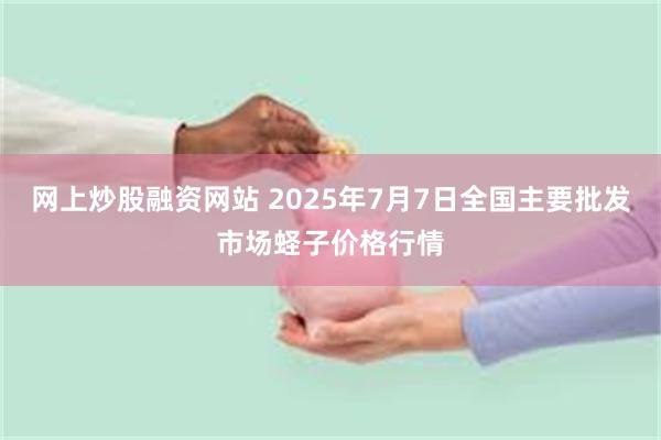 网上炒股融资网站 2025年7月7日全国主要批发市场蛏子价格行情