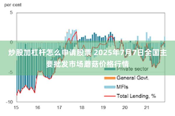 炒股加杠杆怎么申请股票 2025年7月7日全国主要批发市场蘑菇价格行情