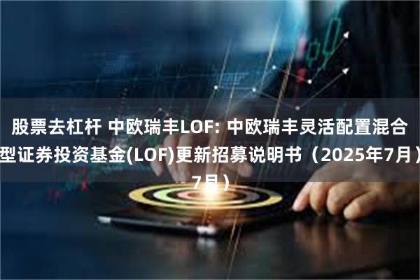 股票去杠杆 中欧瑞丰LOF: 中欧瑞丰灵活配置混合型证券投资基金(LOF)更新招募说明书(2025年7月)