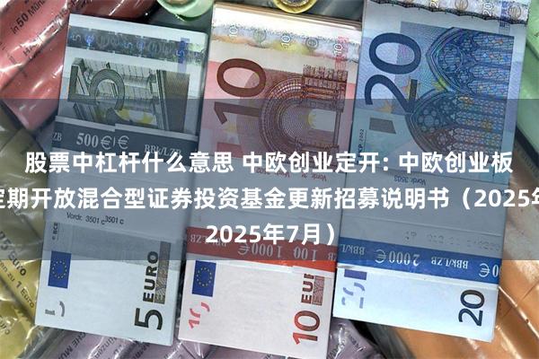 股票中杠杆什么意思 中欧创业定开: 中欧创业板两年定期开放混合型证券投资基金更新招募说明书(2025年7月)