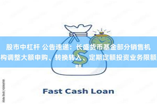 股市中杠杆 公告速递：长盛货币基金部分销售机构调整大额申购、转换转入、定期定额投资业务限额