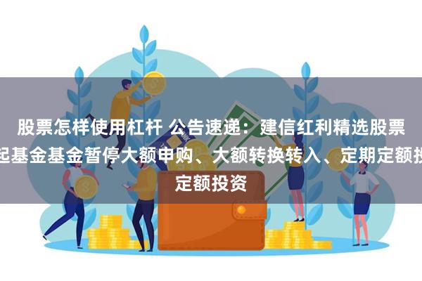 股票怎样使用杠杆 公告速递：建信红利精选股票发起基金基金暂停大额申购、大额转换转入、定期定额投资