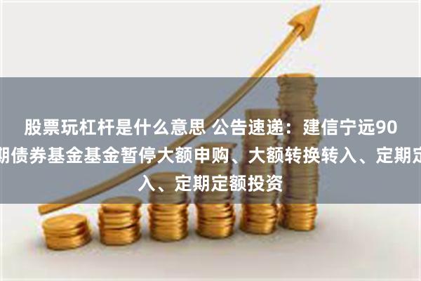 股票玩杠杆是什么意思 公告速递：建信宁远90天持有期债券基金基金暂停大额申购、大额转换转入、定期定额投资