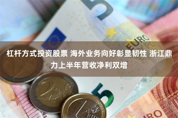 杠杆方式投资股票 海外业务向好彰显韧性 浙江鼎力上半年营收净
