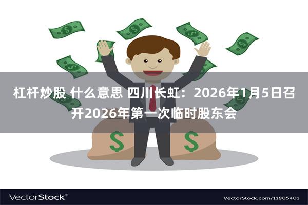 杠杆炒股 什么意思 四川长虹：2026年1月5日召开2026