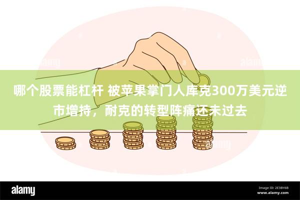 哪个股票能杠杆 被苹果掌门人库克300万美元逆市增持，耐克的