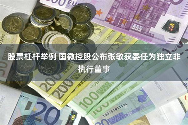 股票杠杆举例 国微控股公布张敏获委任为独立非执行董事