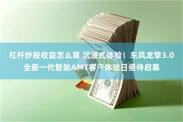 杠杆炒股收益怎么算 沉浸式体验！东风龙擎3.0全新一代智能AMT客户体验日亟待启幕