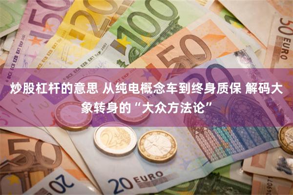 炒股杠杆的意思 从纯电概念车到终身质保 解码大象转身的“大众方法论”