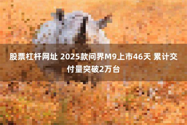 股票杠杆网址 2025款问界M9上市46天 累计交付量突破2万台