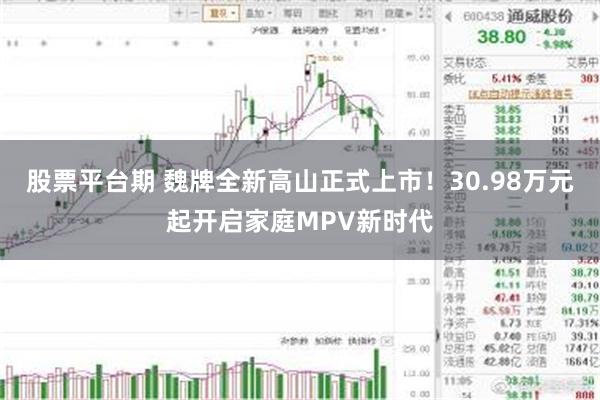 股票平台期 魏牌全新高山正式上市！30.98万元起开启家庭MPV新时代