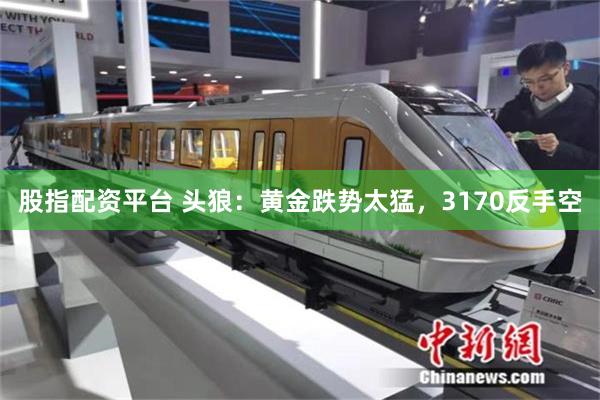 股指配资平台 头狼：黄金跌势太猛，3170反手空