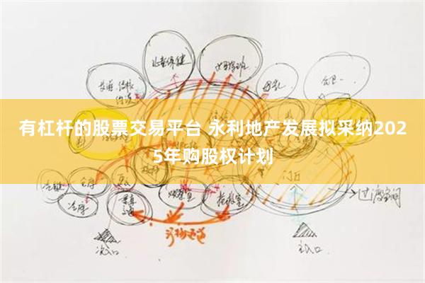 有杠杆的股票交易平台 永利地产发展拟采纳2025年购股权计划