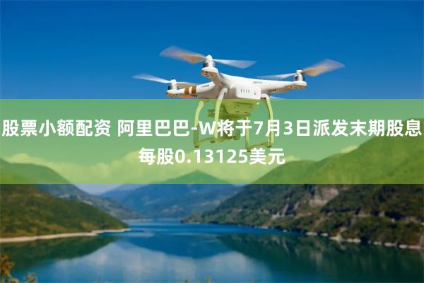 股票小额配资 阿里巴巴-W将于7月3日派发末期股息每股0.13125美元