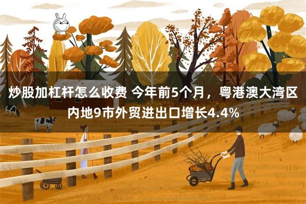 炒股加杠杆怎么收费 今年前5个月，粤港澳大湾区内地9市外贸进出口增长4.4%