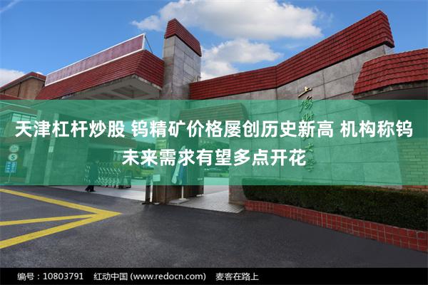 天津杠杆炒股 钨精矿价格屡创历史新高 机构称钨未来需求有望多点开花