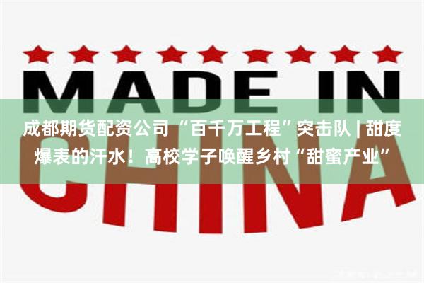 成都期货配资公司 “百千万工程”突击队 | 甜度爆表的汗水！高校学子唤醒乡村“甜蜜产业”