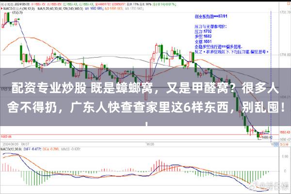 配资专业炒股 既是蟑螂窝，又是甲醛窝？很多人舍不得扔，广东人快查查家里这6样东西，别乱囤！