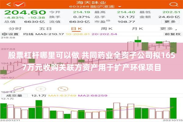股票杠杆哪里可以做 共同药业全资子公司拟1657万元收购关联方资产用于扩产环保项目