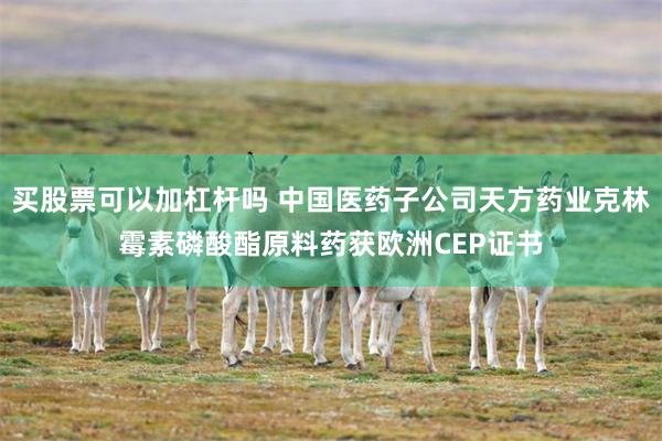 买股票可以加杠杆吗 中国医药子公司天方药业克林霉素磷酸酯原料药获欧洲CEP证书