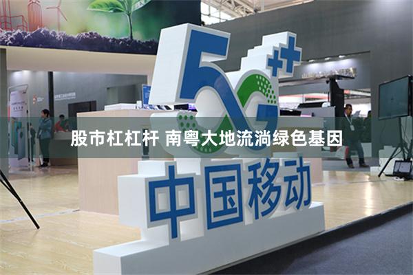 股市杠杠杆 南粤大地流淌绿色基因