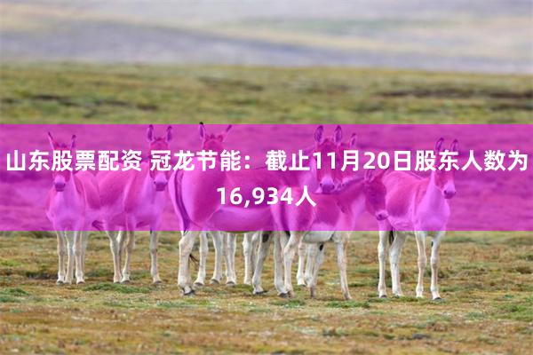 山东股票配资 冠龙节能：截止11月20日股东人数为16,934人