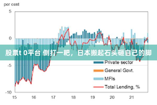 股票t 0平台 倒打一耙，日本搬起石头砸自己的脚