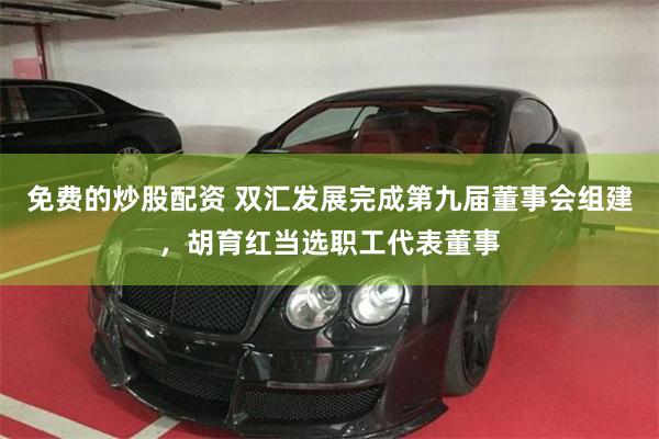 免费的炒股配资 双汇发展完成第九届董事会组建，胡育红当选职工代表董事