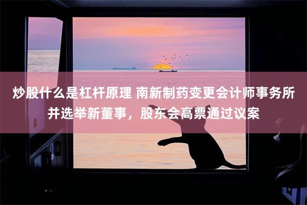 炒股什么是杠杆原理 南新制药变更会计师事务所并选举新董事，股东会高票通过议案