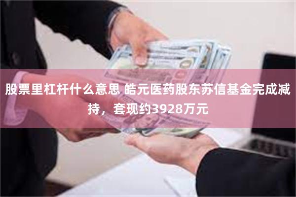股票里杠杆什么意思 皓元医药股东苏信基金完成减持，套现约3928万元