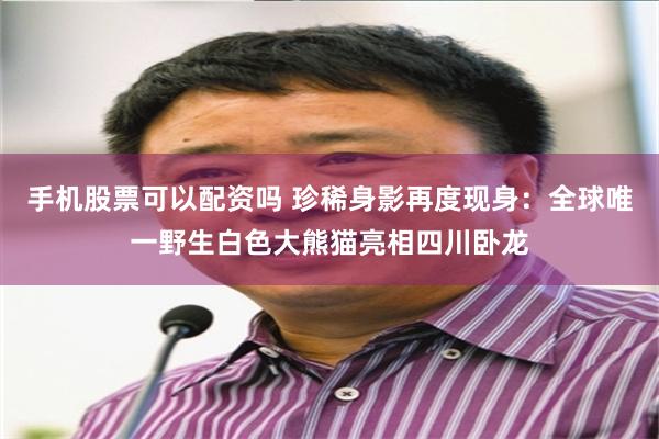 手机股票可以配资吗 珍稀身影再度现身：全球唯一野生白色大熊猫亮相四川卧龙