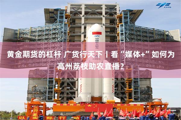 黄金期货的杠杆 广货行天下丨看“媒体+”如何为高州荔枝助农直播？