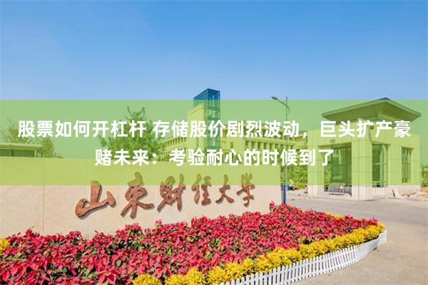 股票如何开杠杆 存储股价剧烈波动，巨头扩产豪赌未来：考验耐心的时候到了