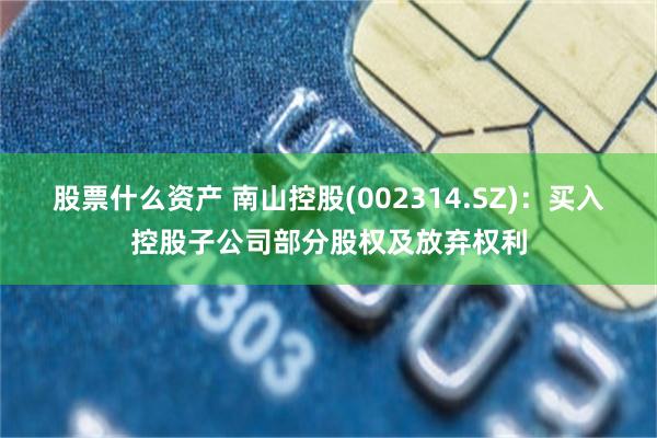 股票什么资产 南山控股(002314.SZ)：买入控股子公司部分股权及放弃权利