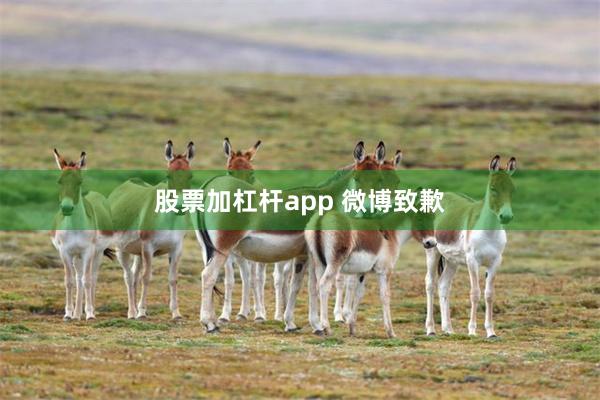 股票加杠杆app 微博致歉