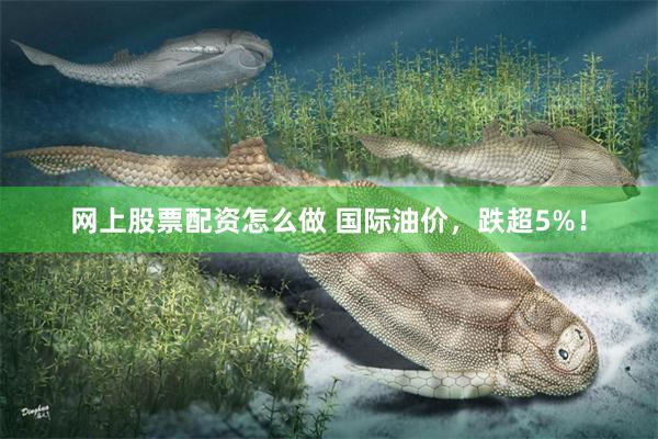网上股票配资怎么做 国际油价，跌超5%！