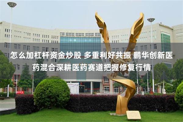 怎么加杠杆资金炒股 多重利好共振 鹏华创新医药混合深耕医药赛道把握修复行情