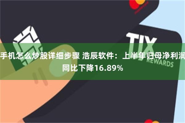 手机怎么炒股详细步骤 浩辰软件：上半年归母净利润同比下降16.89%