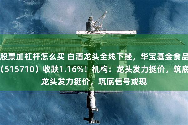 股票加杠杆怎么买 白酒龙头全线下挫，华宝基金食品饮料ETF（515710）收跌1.16%！机构：龙头发力挺价，筑底信号或现
