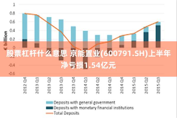 股票杠杆什么意思 京能置业(600791.SH)上半年净亏损1.54亿元